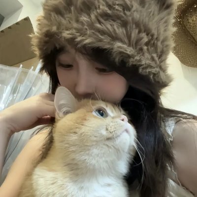 冷案